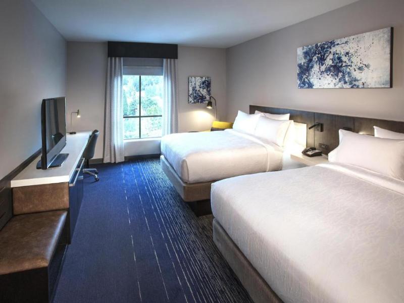 Hilton Garden Inn Redmond Seattle image