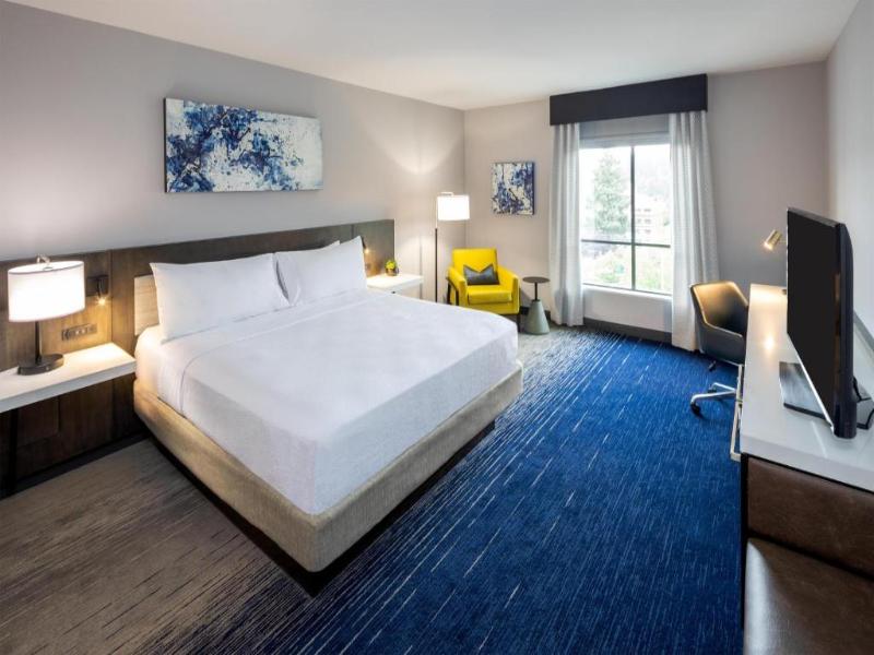 Hilton Garden Inn Redmond Seattle image