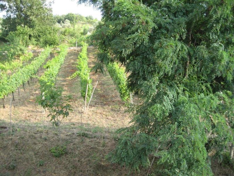 La Locanda Di Campagna image