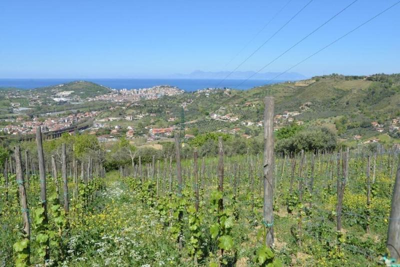 La Locanda Di Campagna image