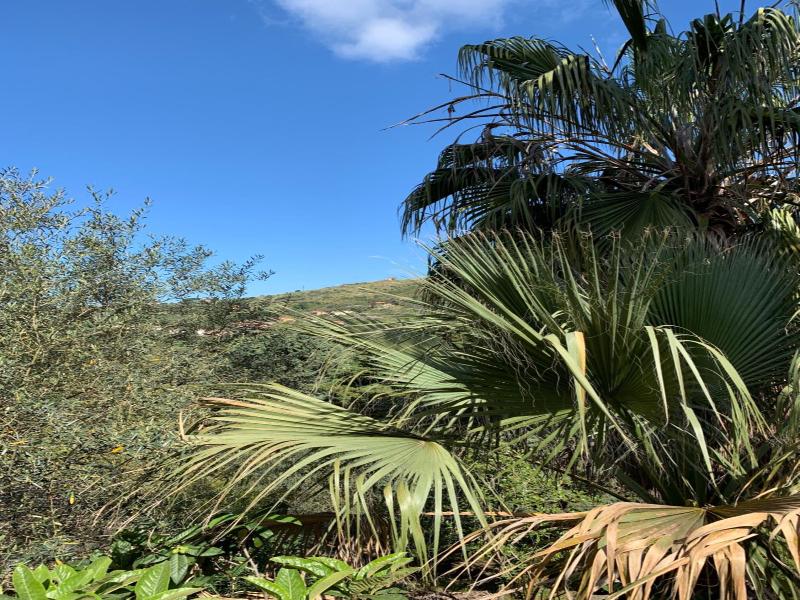 La Locanda Di Campagna image