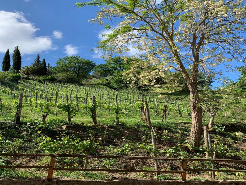 La Locanda Di Campagna image
