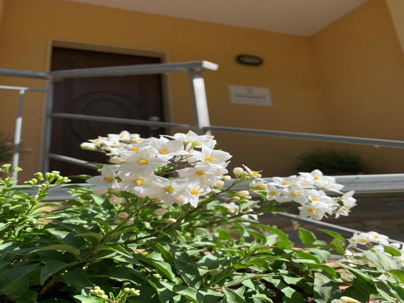 La Locanda Di Campagna image