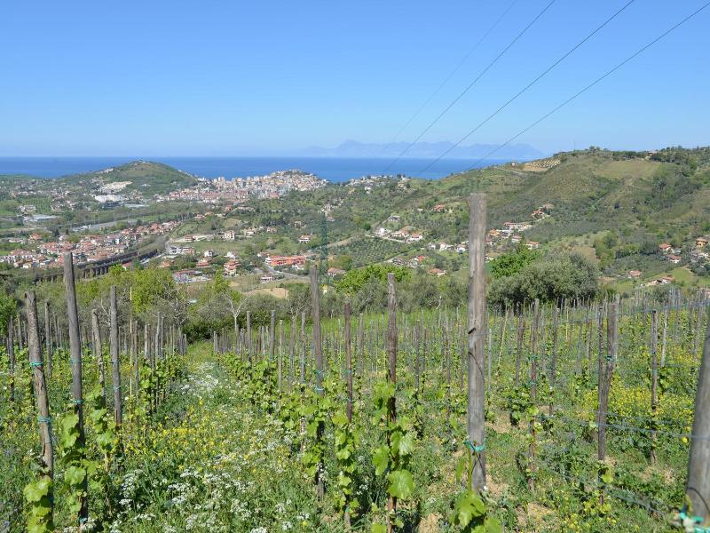 La Locanda Di Campagna image