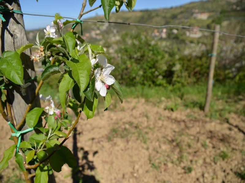 La Locanda Di Campagna image