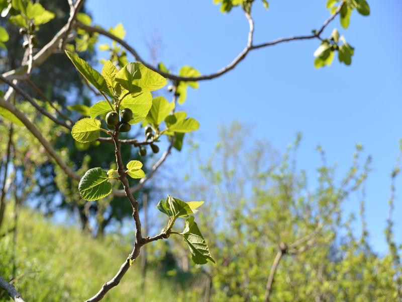 La Locanda Di Campagna image