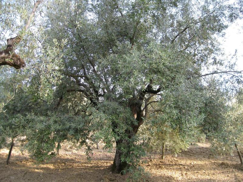 La Locanda Di Campagna image