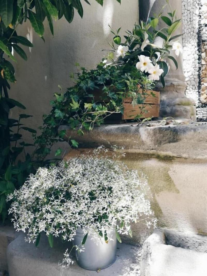Il Cortile Di Elisa image