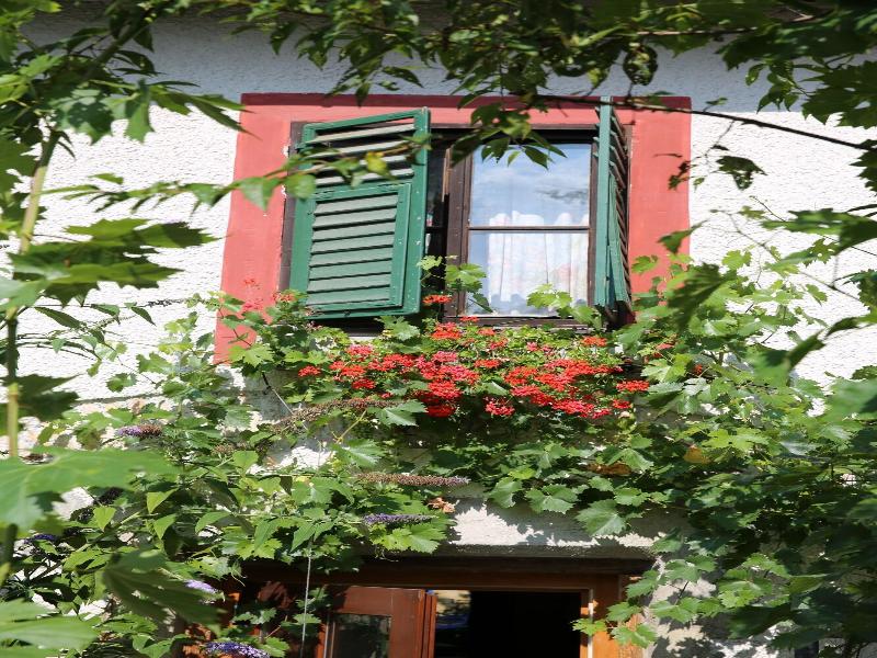 Haus Wartenberg image