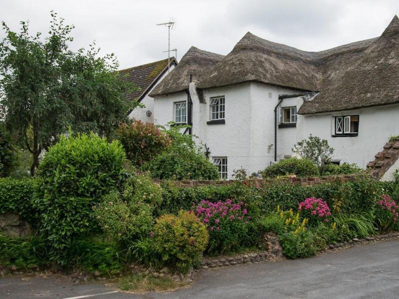 Southern Cross Guest House image