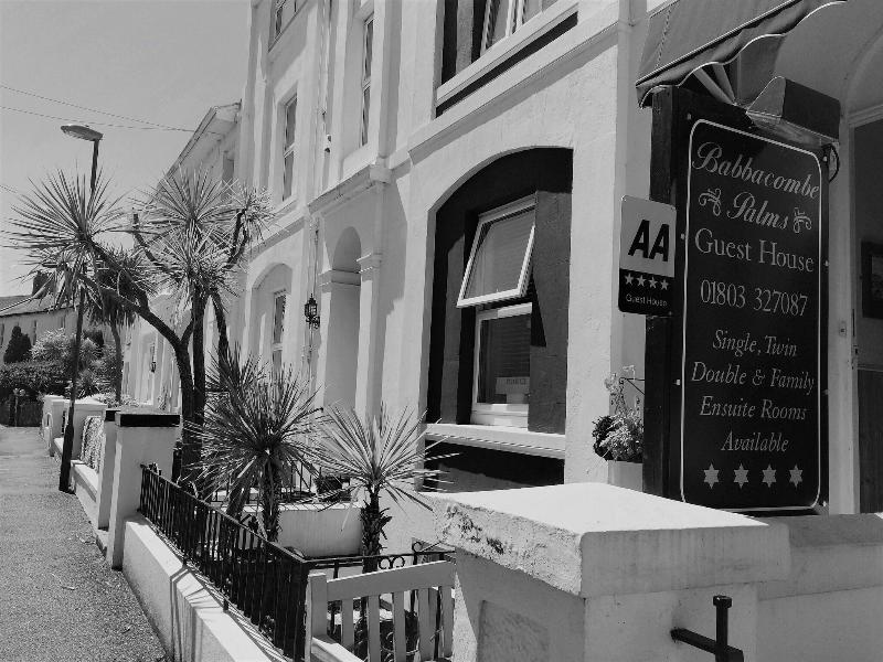 Babbacombe Palms image