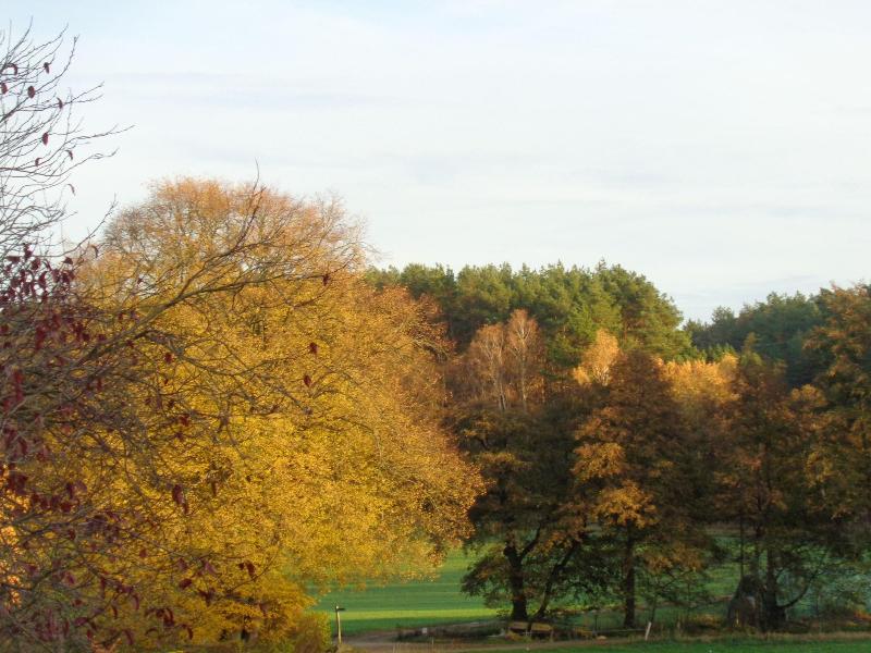Ferienhof Meyer — general view