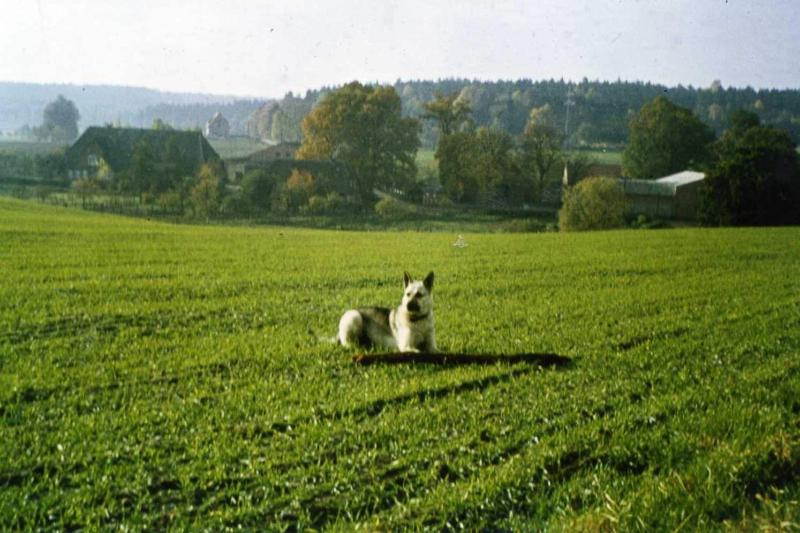 Ferienhof Meyer — general view