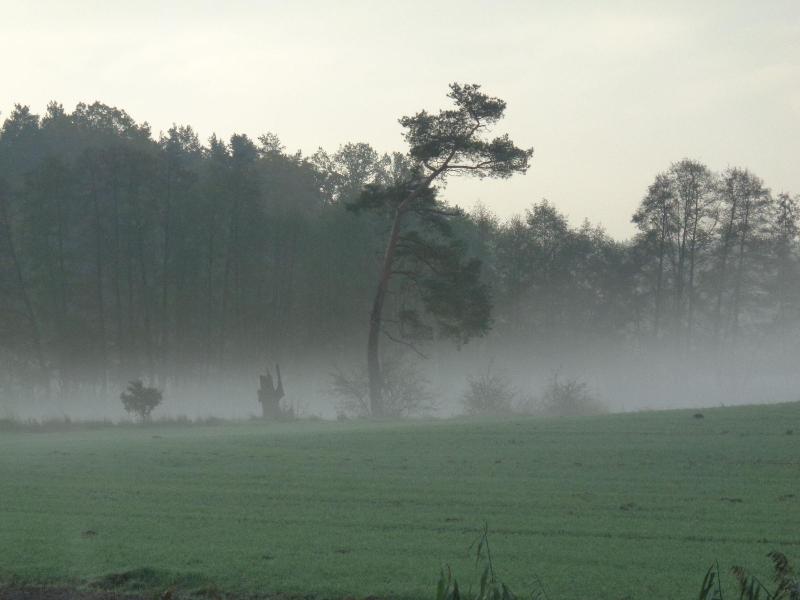 Ferienhof Meyer image