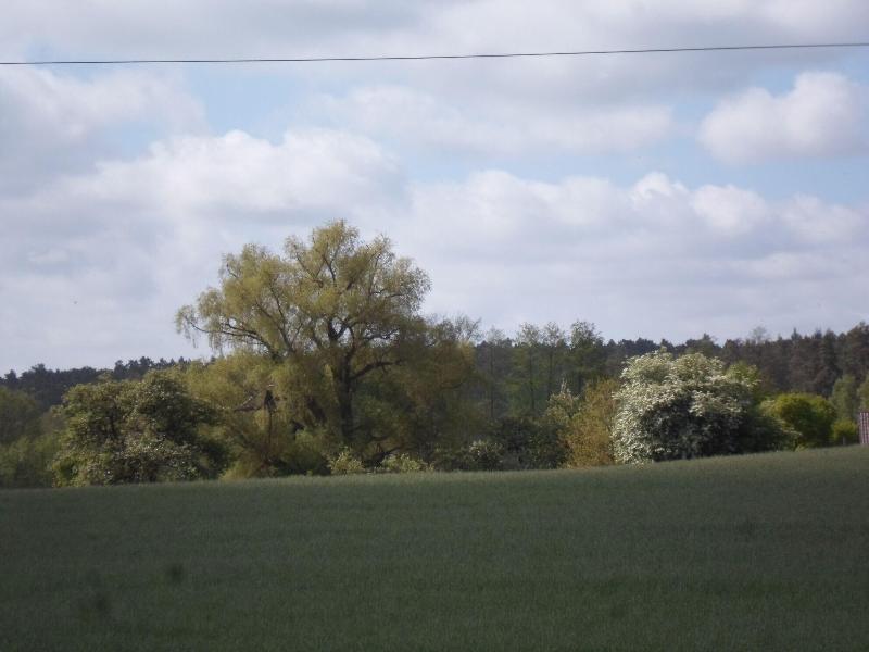 Ferienhof Meyer image