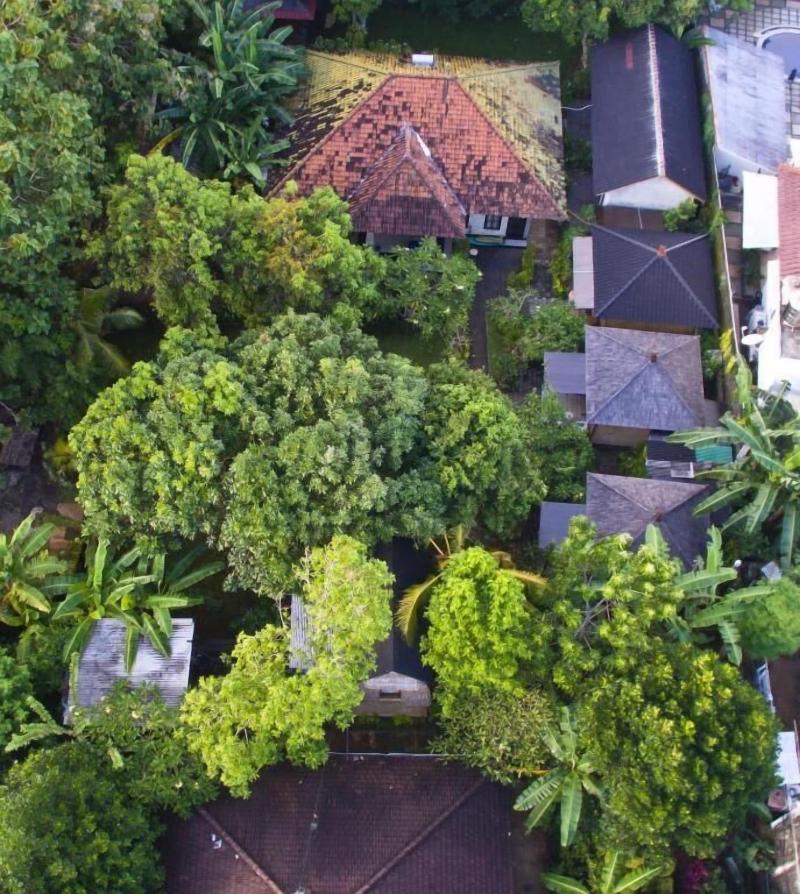 Timbis Homestay Bali image