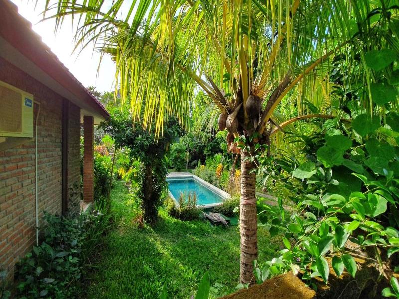 Timbis Homestay Bali image