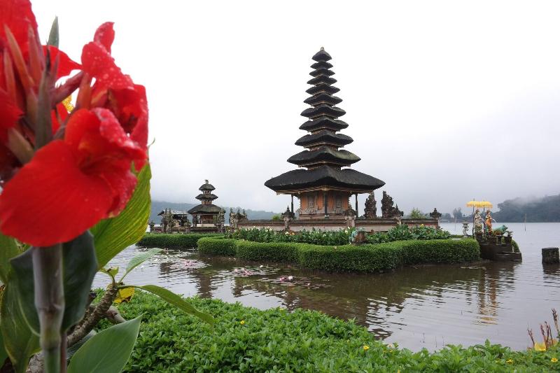Timbis Homestay Bali image