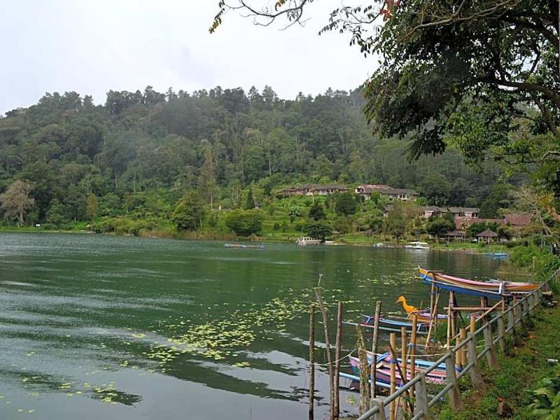 Dajan Buyan Homestay image