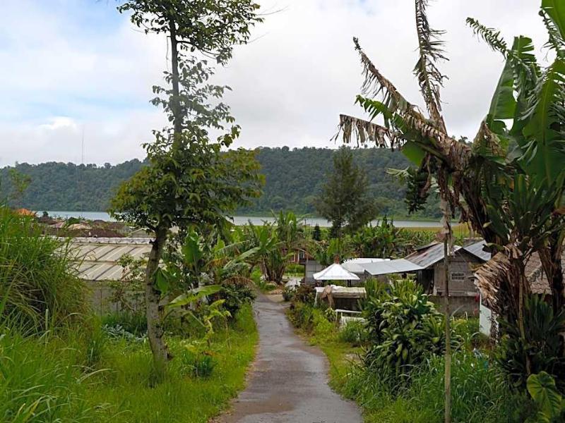 Dajan Buyan Homestay image