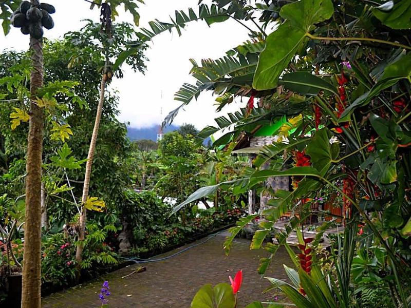 Dajan Buyan Homestay image