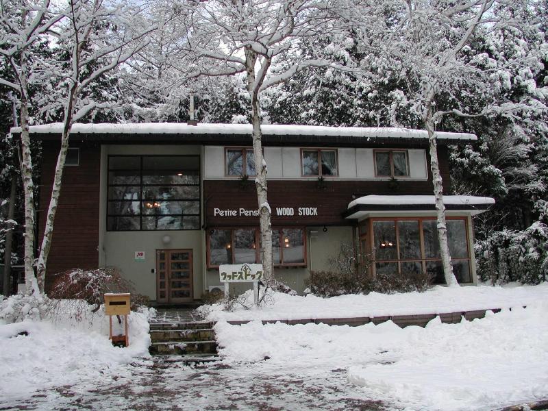 Kawaguchiko Pension Woodstock — photo 3