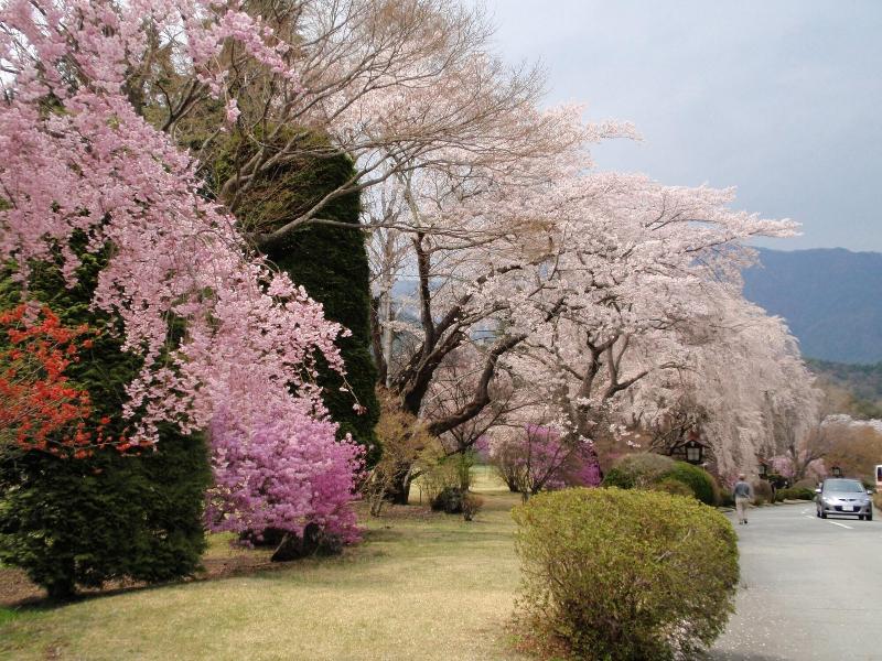 Kawaguchiko Pension Woodstock — photo 5