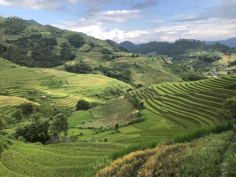 Do Gu Homestay image