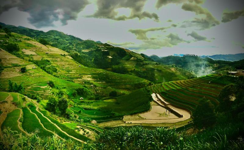 Do Gu Homestay image
