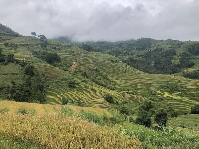 Do Gu Homestay image