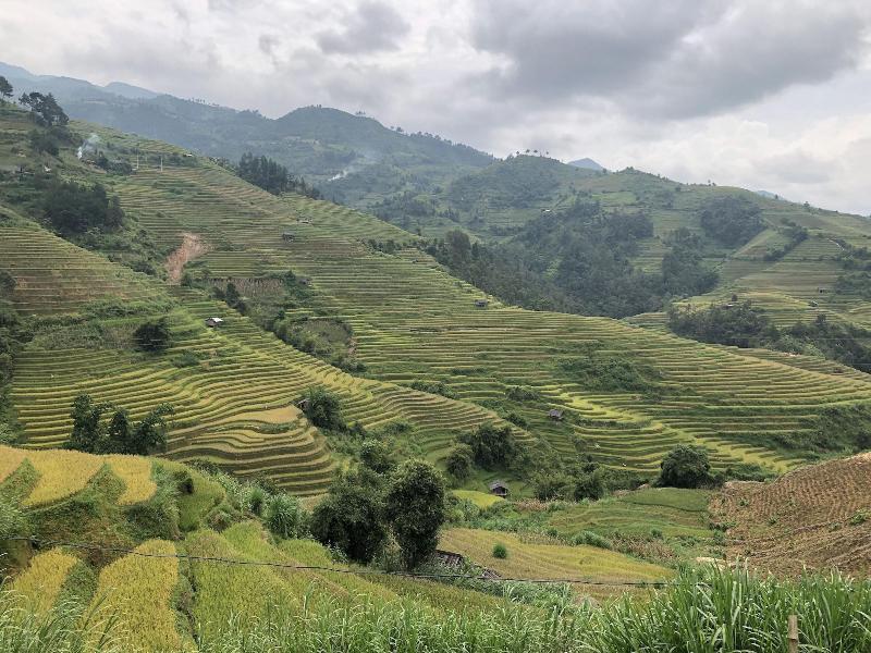 Do Gu Homestay image
