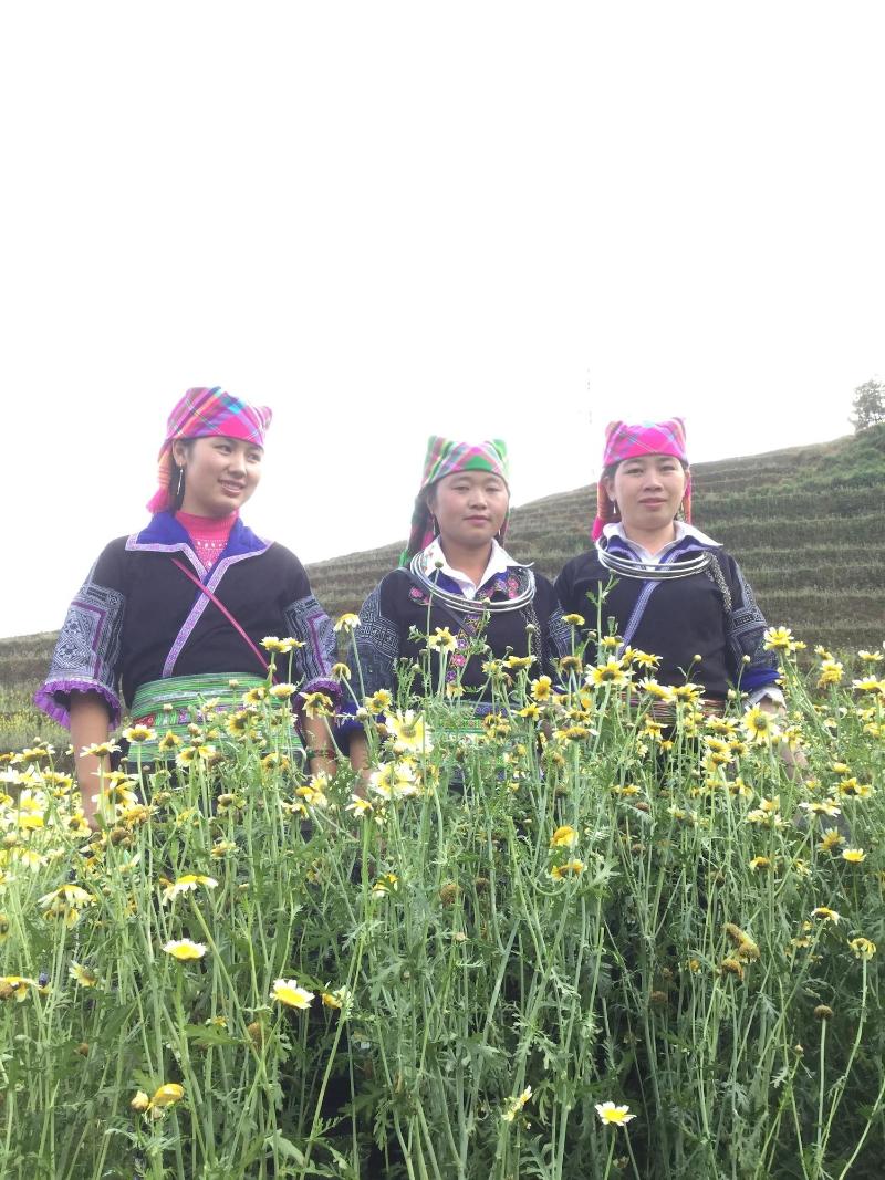 Do Gu Homestay image