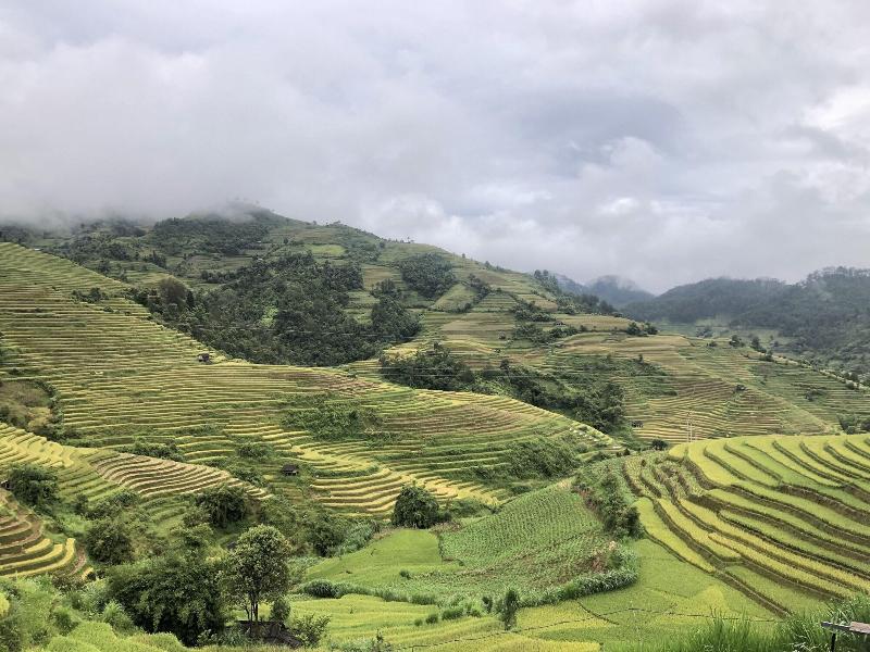 Do Gu Homestay image