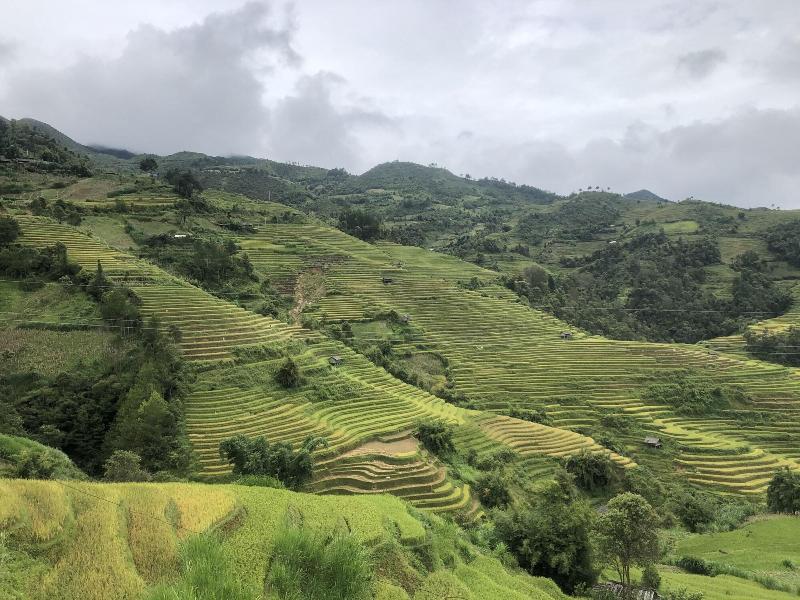 Do Gu Homestay image