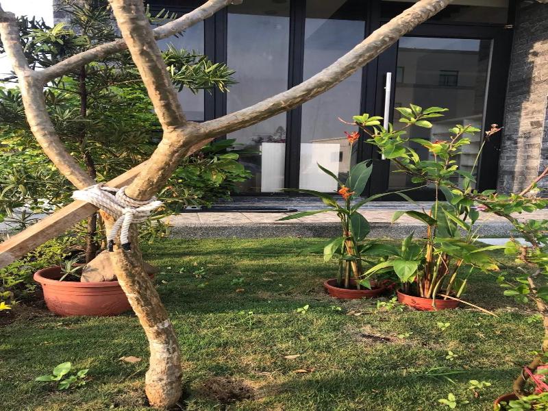 Good Nest Homestay image