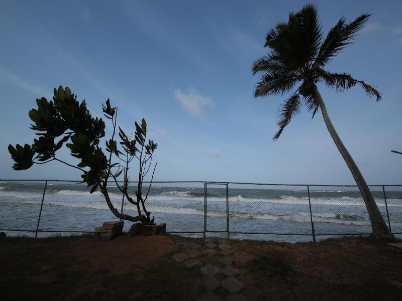 Ocean Of Life Ayurvedic Resort image
