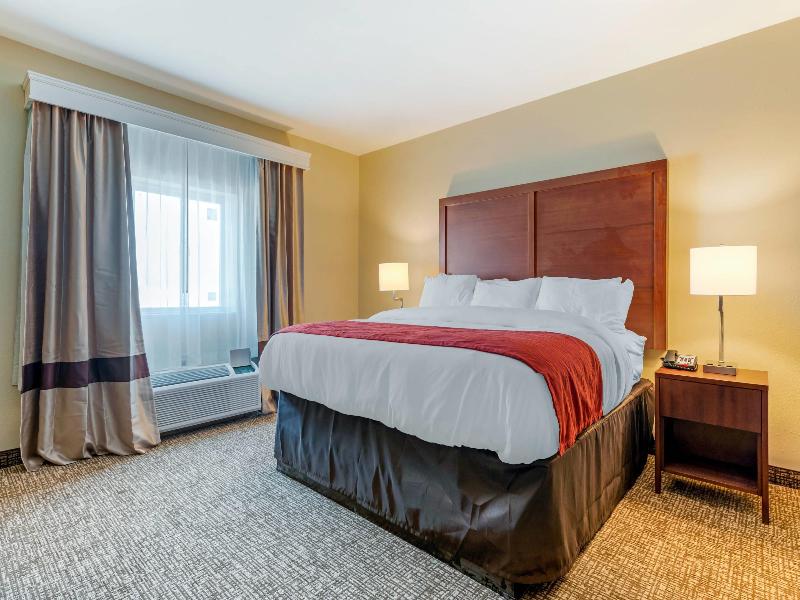Comfort Inn & Suites Michigan City image