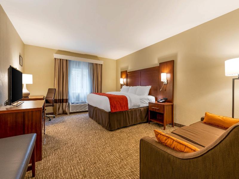 Comfort Inn & Suites Michigan City image