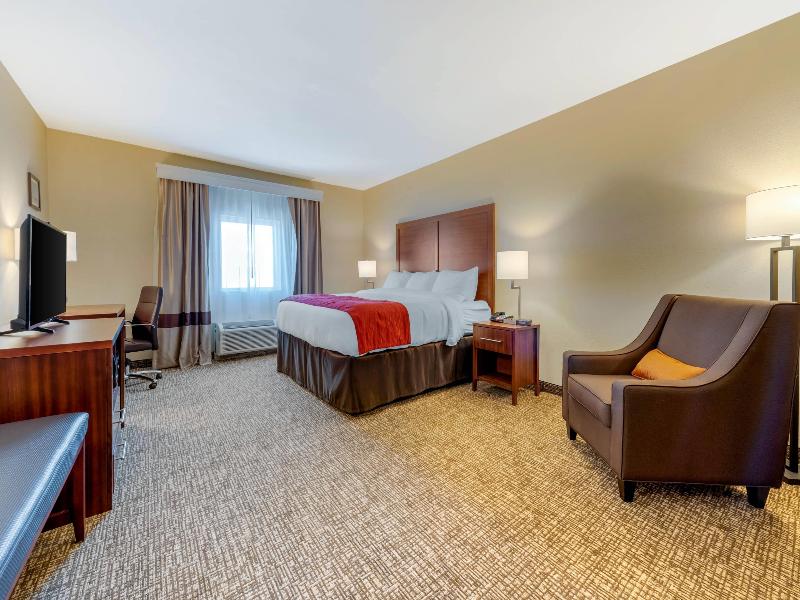 Comfort Inn & Suites Michigan City image