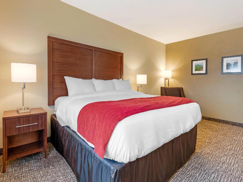 Comfort Inn & Suites Michigan City image