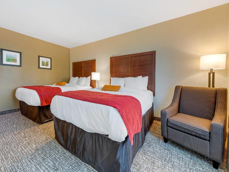 Comfort Inn & Suites Michigan City image