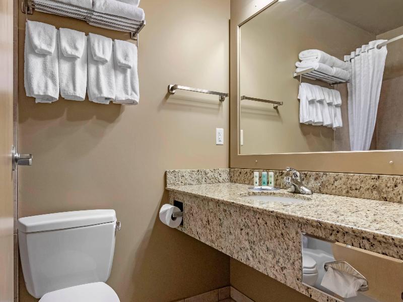 Quality Inn & Suites image