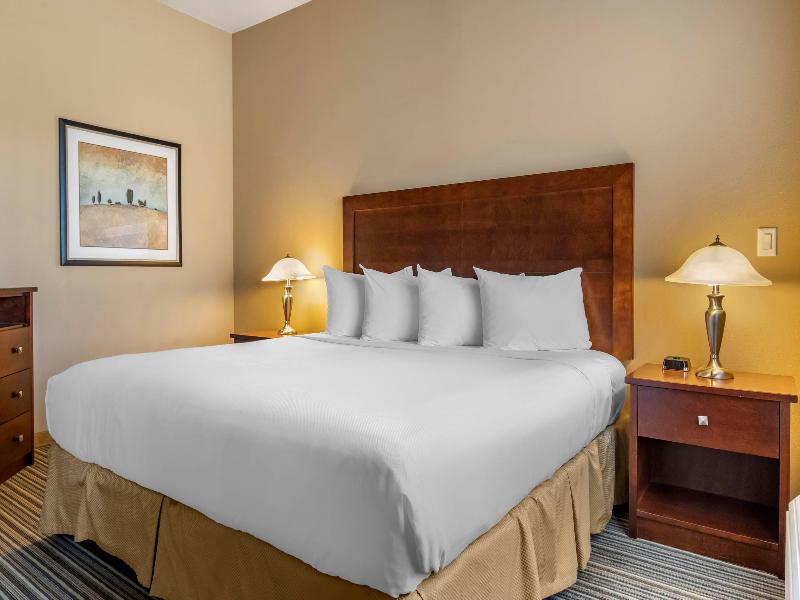 Quality Inn & Suites image