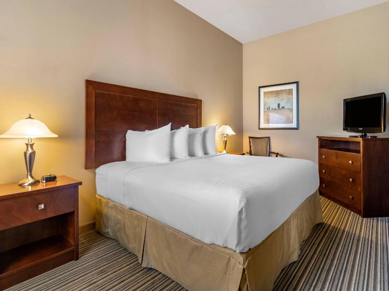 Quality Inn & Suites image