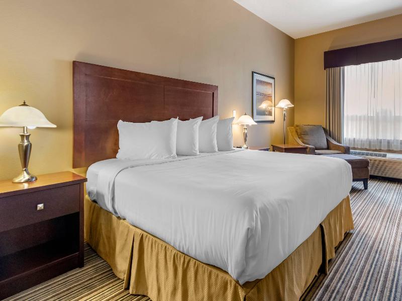 Quality Inn & Suites image