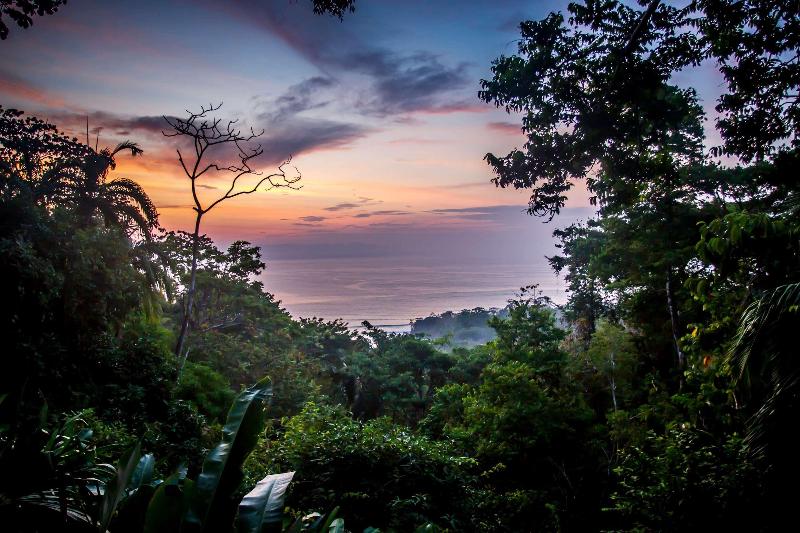 Lapa Rios Lodge image