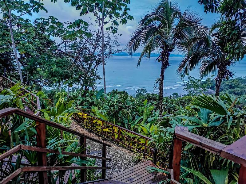 Lapa Rios Lodge image