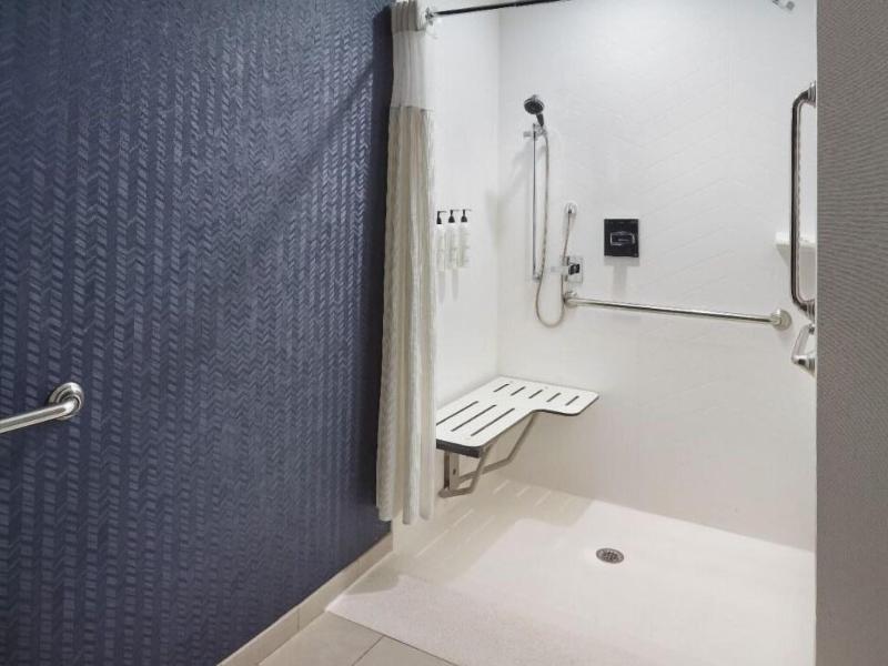 Fairfield Inn & Suites by Marriott Locust Grove I- image