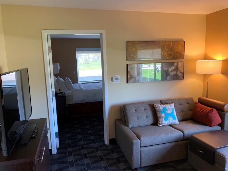 Towneplace Suites By Marriott Detroit Belleville image