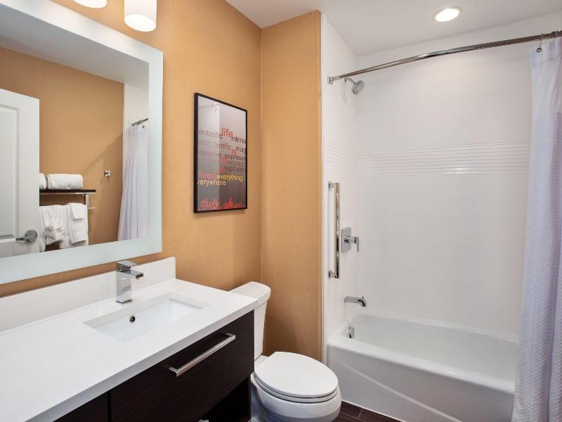 Towneplace Suites By Marriott Detroit Belleville image